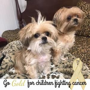 Meet your Posher, Sheila